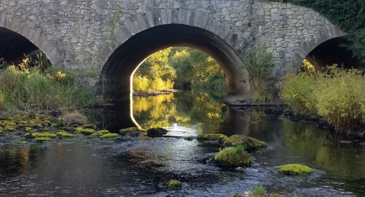 RiversIreland's tweet photo. Celebrating our 1000th tweet ๐ with a photo of the always beautiful #Avonmore River in #Wicklow, Ireland๐๐ฆ
Enjoying retweeting all the posts about #irishrivers ๐๐
#NaturePhotography #ThePhotoHour https://t.co/1rvUpamz8A