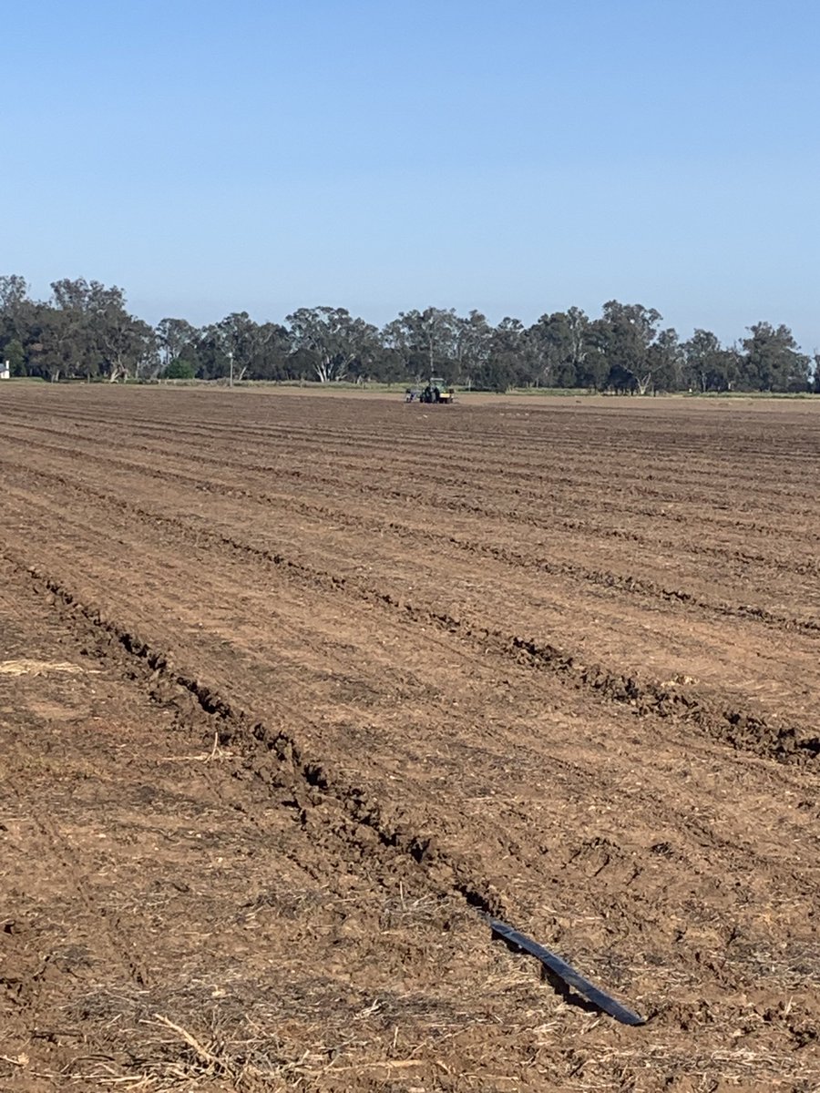 Andrew Watson tweet media