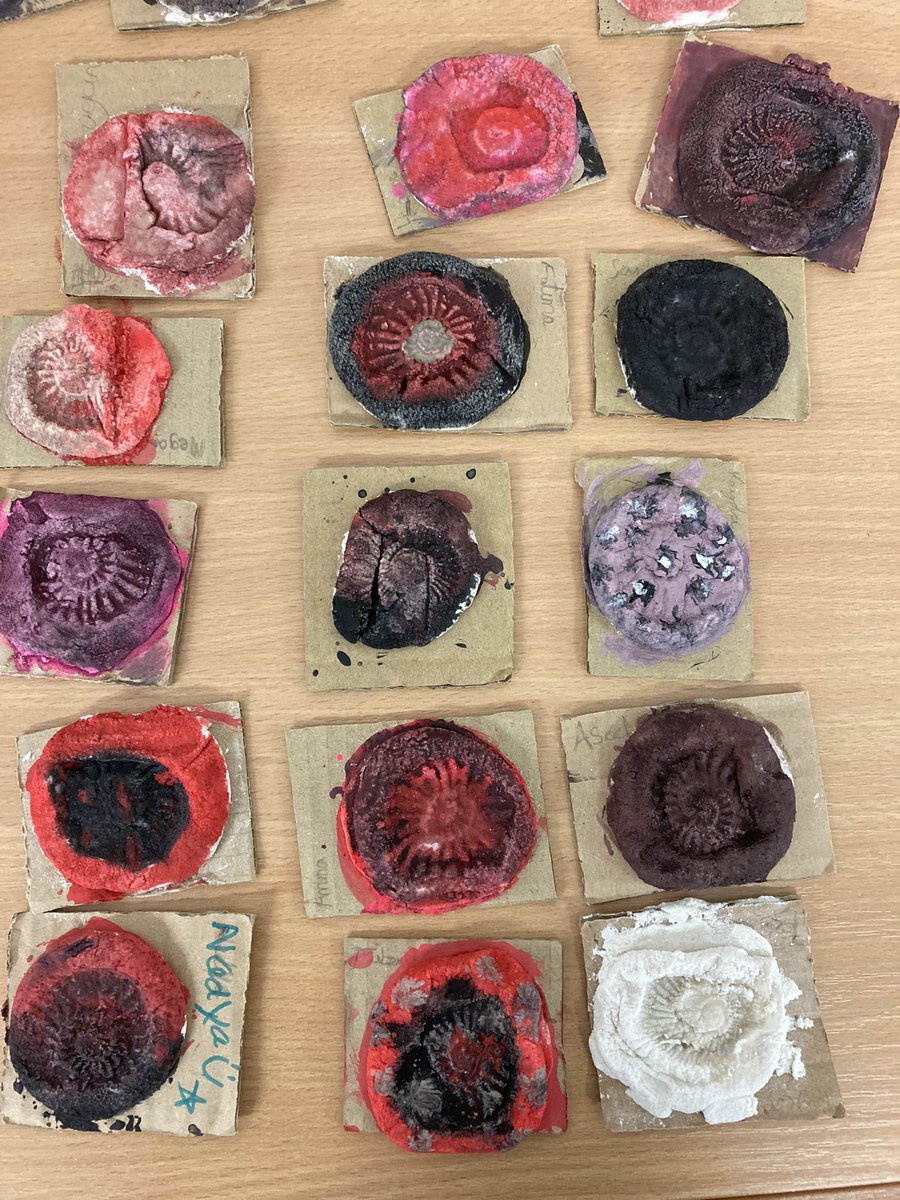 Our wonderful ammonite fossils look  even better after Friday’s painting session! Great job year 6! <a href="/paganelschool/">Paganel Primary</a>