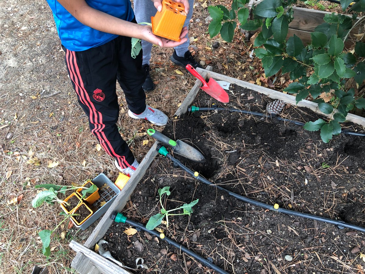 Clg_Ferry13_EDD's tweet photo. Club jardin : Septembre
Les élèves du club jardin ont travaillé dur pour remettre en état notre espace jardin/mare abandonné durant l’été #ODD15 https://t.co/XNho5m68BD
