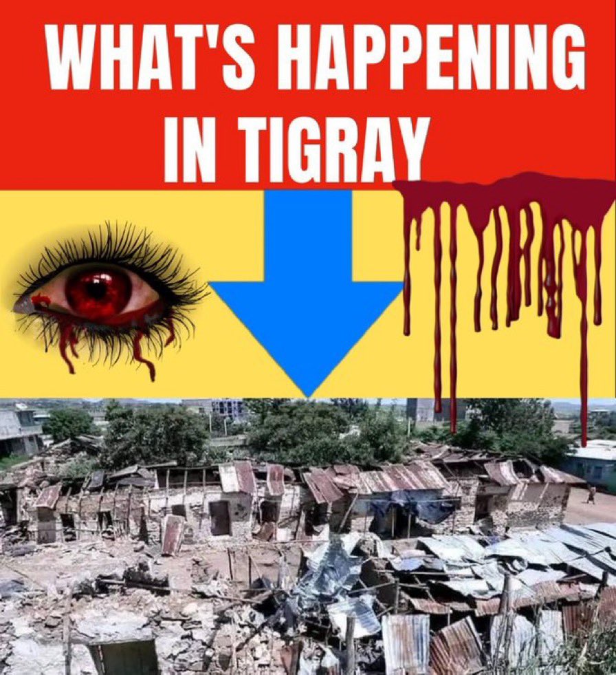 MaylihamK's tweet image. Eritrea’s involvement in Tigray has caused immense damage &amp;amp; human suffering. Int'l leaders have the responsibility to protect civilians and to stop genocide. Please call for Eritrean forces to depart Tigray. #WithdrawEritreanTroops @Europarl_EN @EUAmbUS @antonioguterres @UN