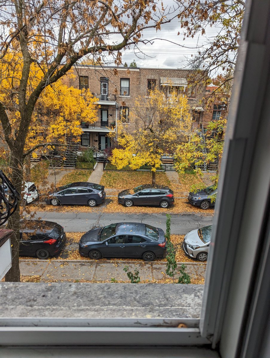 I love working during Fall 🍁🍂 The colors are so awesome!