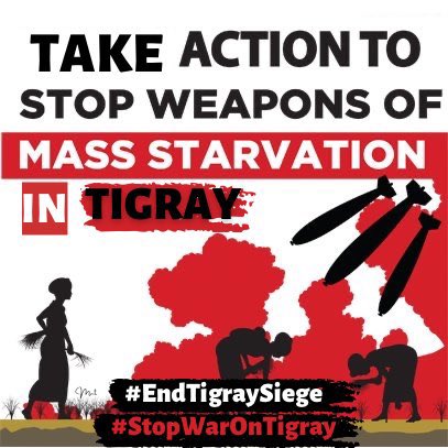 By ignoring peace talks and sending fresh waves of troops into Tigray, Eritrea has made it clear they have no intentions of stopping war on Tigray. An arms embargo is needed. #WithdrawEritreanTroops @POTUS @VP @AmbassadorTai @StateDept @UNOCHA @SecBlinken @antonioguterres