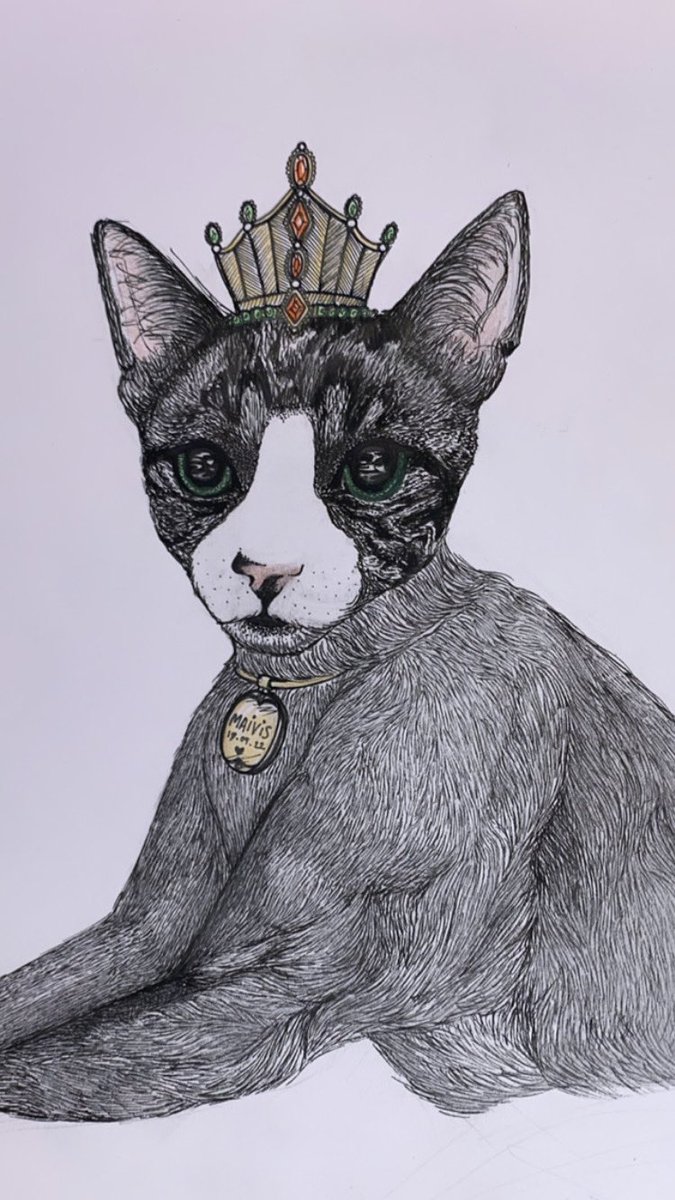 CDH_NFT's tweet photo. I’ve just been commissioned but am unsure what to price my drawings at… in “your” experience; what would you class as too cheap? 

#comission #art #drawing #collector #pricing https://t.co/7nu4EdtY3l