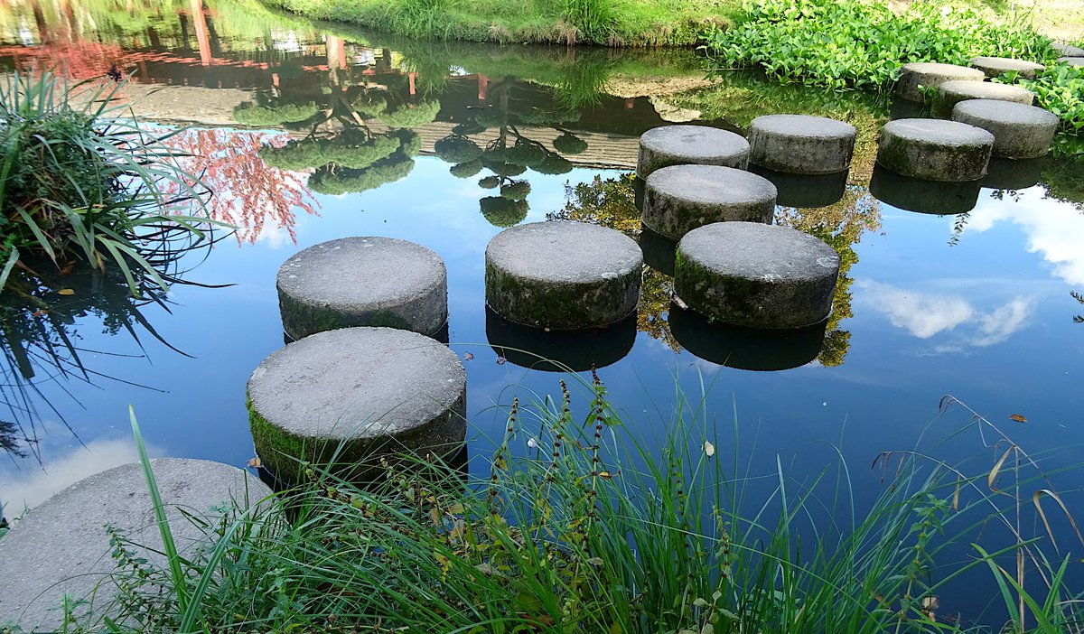 curiouscat1blog's tweet photo. #Photo #Photography #IledeVersailles #Nantes :
"Suivez vos rêves, ils connaissent le chemin" (#KobiYamada)... 😶🌫️😊
©CuriousCat https://t.co/42B3qFEo9j
