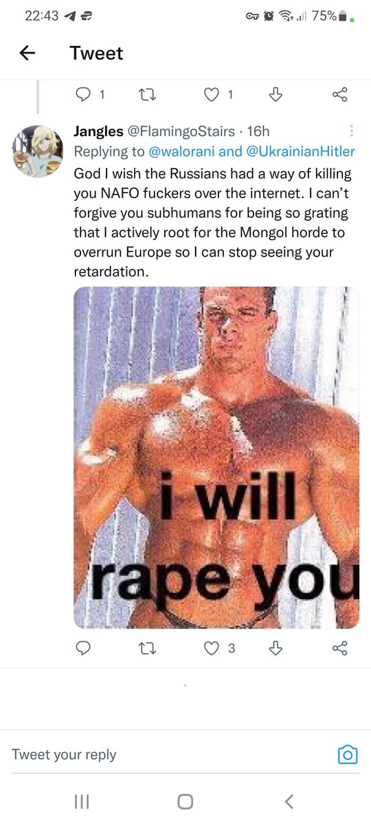 Seems to be the theme with these pro Russian accounts at the moment to see who can be more vile #NAFOarticle5