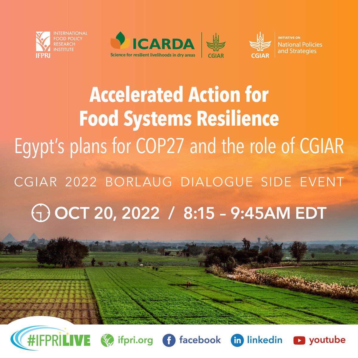 📅 Thurs Oct 20 📌 Accelerated Action for Food Systems Resilience: Egypt’s plans for @COP27P & the role of @CGIAR 🤝 @CGIAR @IFPRI @ICARDA 💬 @ClaudiaRingler @Jo_Swinnen @jlucasrestrepo @aditimukherji @RoulaMajdalani & more 🎟️ bit.ly/FS-Resilience #NPSInitiative #OneCGIAR