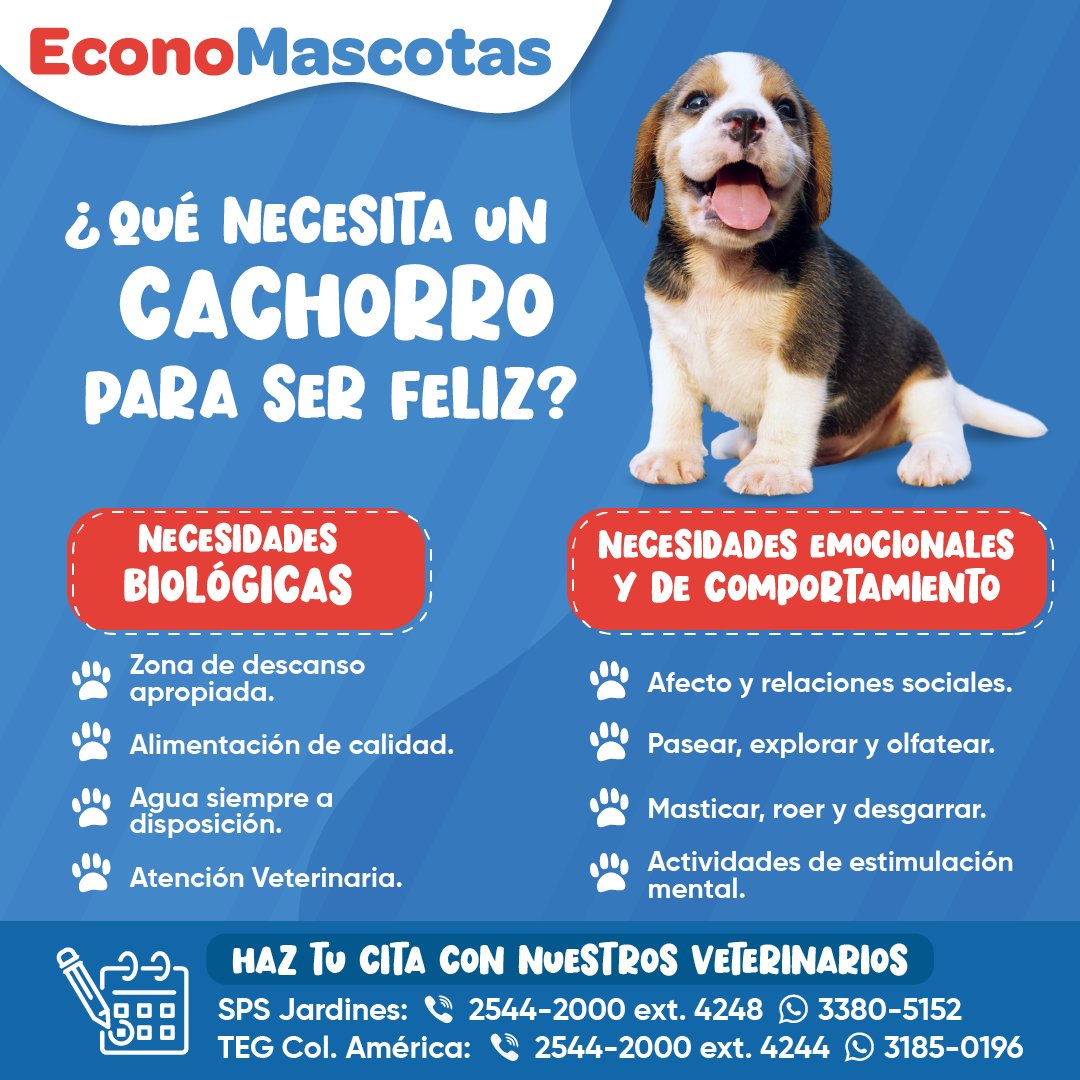 EconoMascotasHn's tweet photo. #EMTips Te compartimos el secreto para hacer feliz a tu mascota. 🐶🥰
👉 Encuentra todo para cuidar la salud y felicidad de tu mascota en https://t.co/DUhdkJjDDi https://t.co/nGlTQPs2L3
