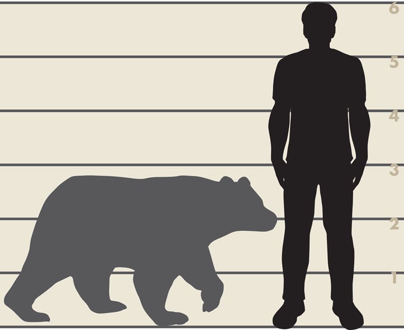 Mental On Twitter blkpwdrblkpwr shannonsharpeee That s Not A Cub mental-on-twitter-blkpwdrblkpwr-shannonsharpeee-that-s-not-a-cub