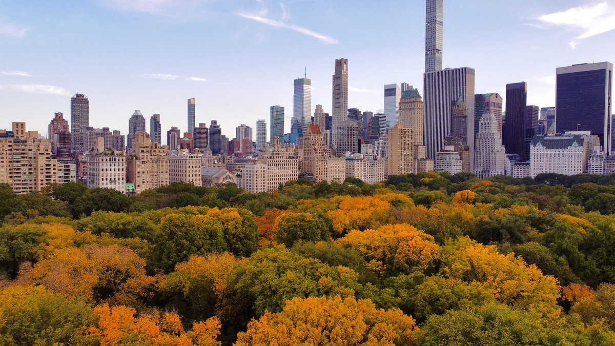 Central Park Autumn colors around the corner 10-17-22 #nyc #CentralPark #Autumn #autumn2022 #AutumnColors