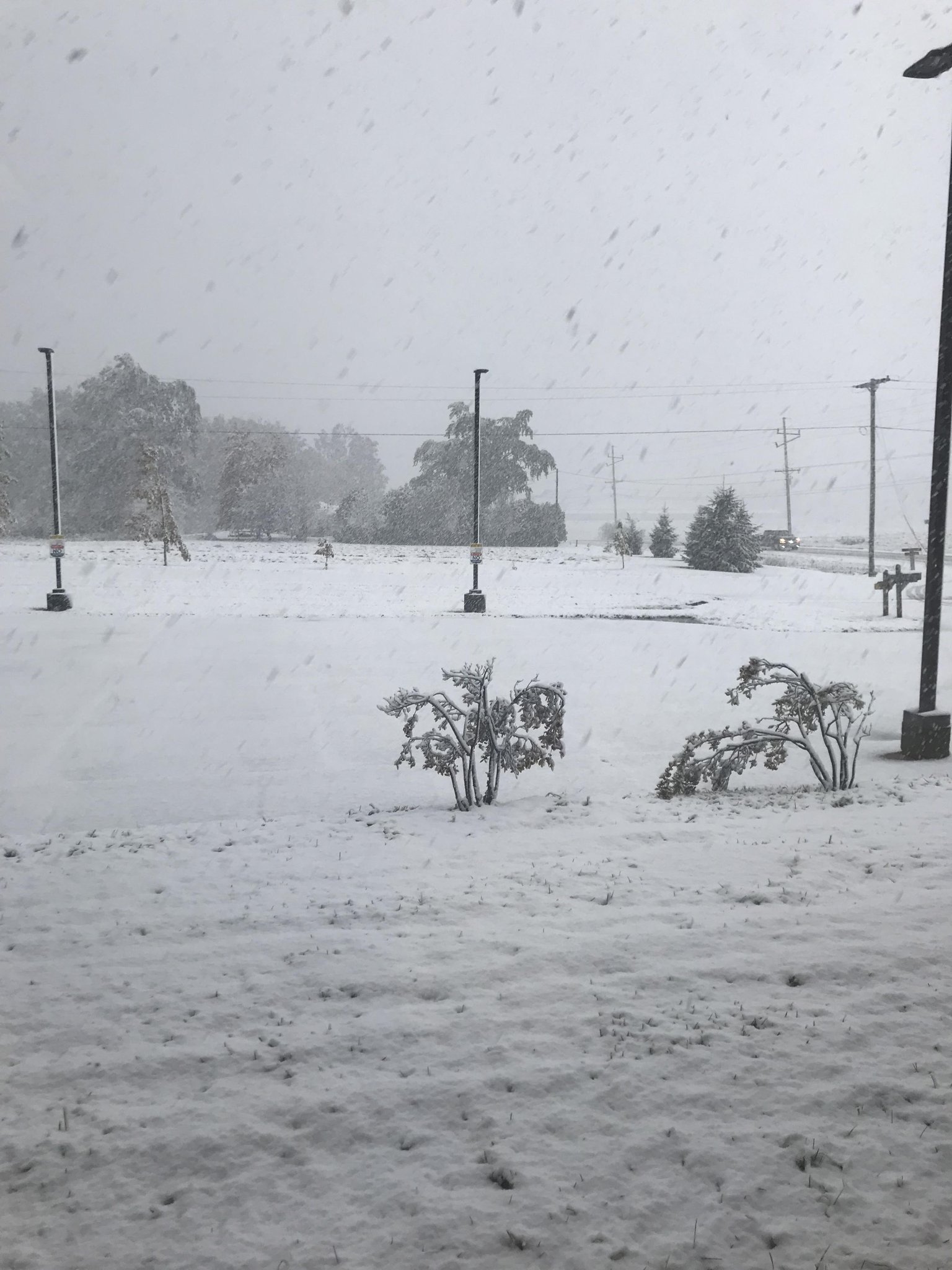 Fall 2022 Weather Thread (Northern Hemisphere) (Kansas, Iowa, Missouri