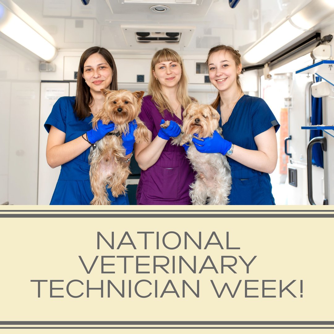 Tweet by CaVeterinaryMedAssoc
