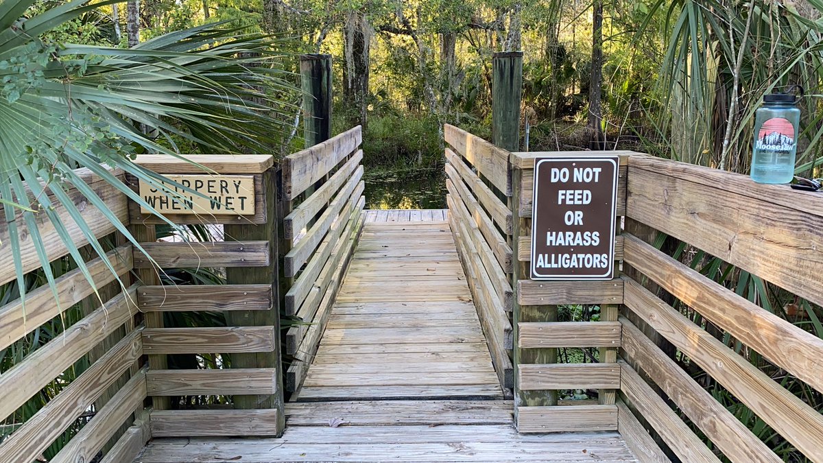robertlogan504's tweet photo. We arrived in Tampa last week and will be here through New Years while the ship undergoes regular maintenance.
I’m taking advantage of the time ashore by doing some fun long runs in cool places… https://t.co/Nke5r1TZoZ