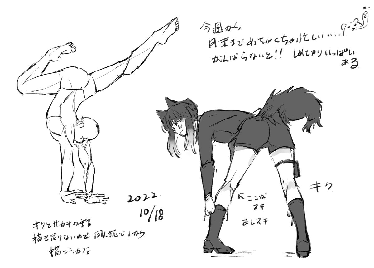 10/18🐺 
