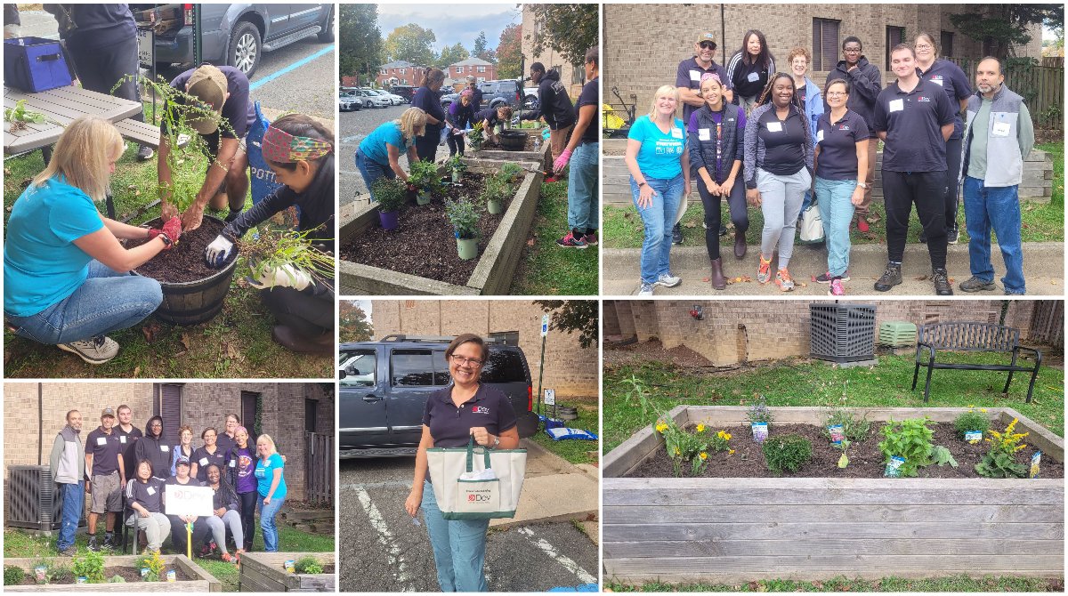 devtechnology's tweet photo. Today on day 3 our team supported @HomestretchVA, an organization that helps homeless families become self-sufficient. Under the guidance of Master Gardener Sandra Abernathy, we created a beautiful outdoor space for families to enjoy. #DevGivesBack #DevWoS
https://t.co/fqrRKYojkR https://t.co/1Zb8gZr6Tl