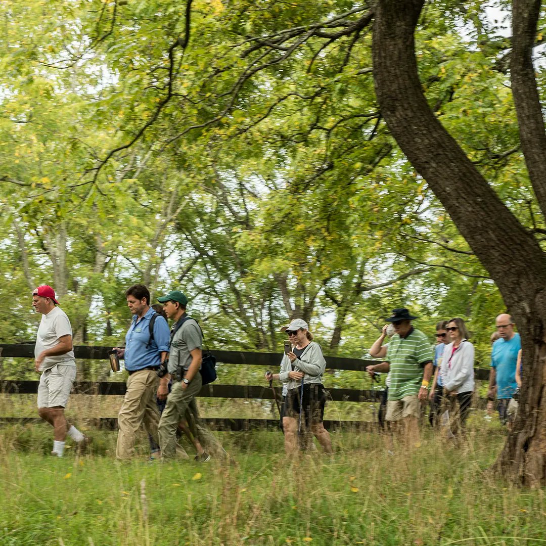 JMMontpelier's tweet photo. 🍂This Saturday: Fall Woods Walk🍂
Learn about the ecological &amp; #economic contributions a well-managed forest gives to our #society &amp; investigate how #ActiveForestManagement helps to preserve woodlands for future generations. 
➡️https://t.co/KVGqEugjIE 
#Events #LocalEvents https://t.co/hUF19XMNPJ