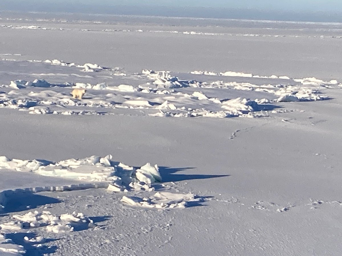 ChemUmt's tweet photo. Prof. DeGrandpre just completed a research cruise on the Canadian Coast Guard Ship Louis S. St. Laurent, their their flagship icebreaker. The ship can break through 1 m thick ice while going over 10 knots. The cruise is focused on ... (1/2) https://t.co/F09TCklQKP