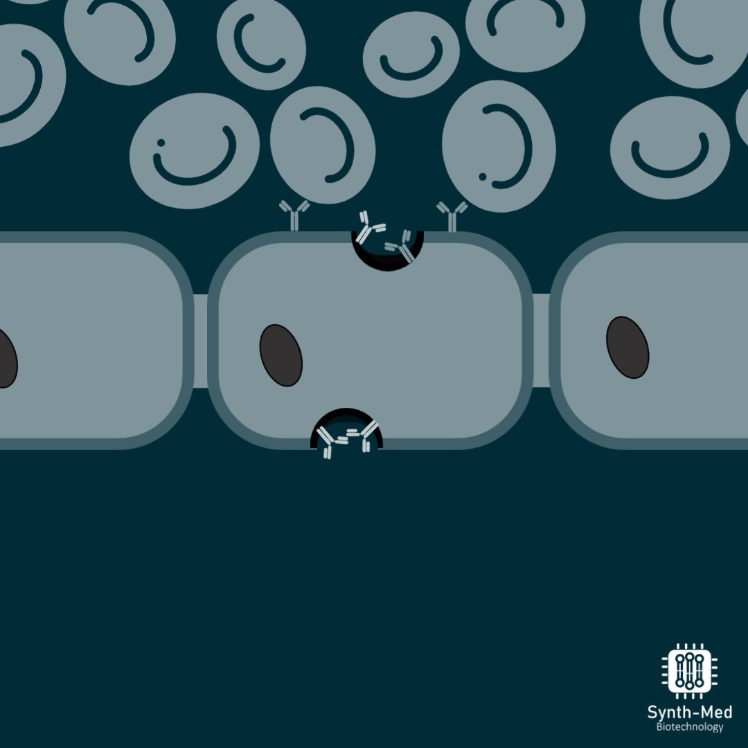 Synth-Med Biotechnology tweet media