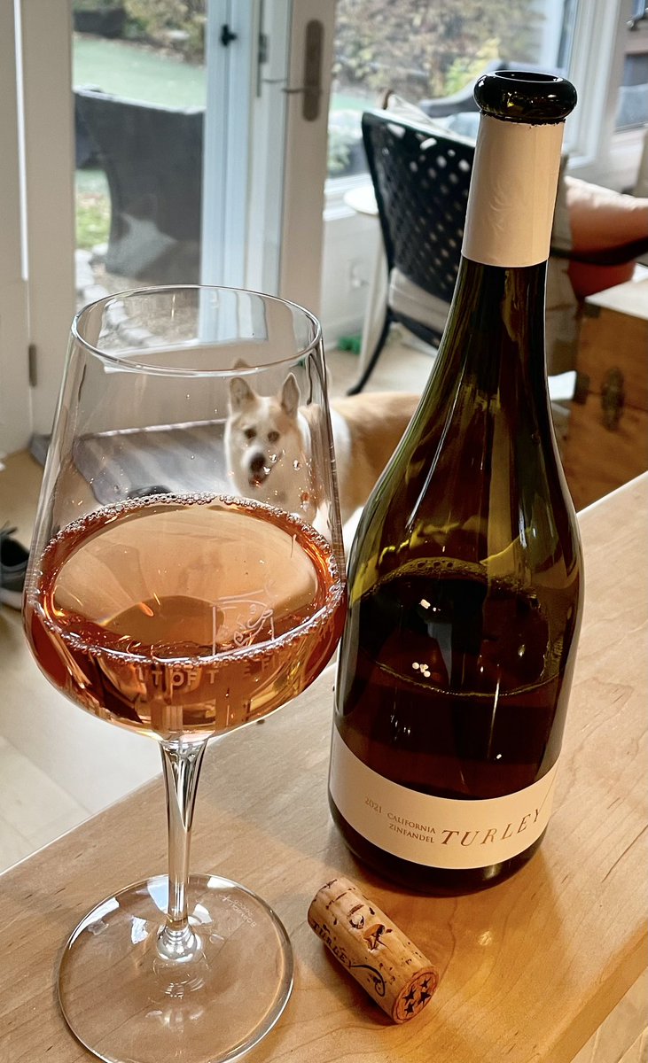 My corgi looks interested in the Turley rose’ and well he should be. Very good wine at 12% ABV, which is unheard of for zinfandel. #cheers🍷