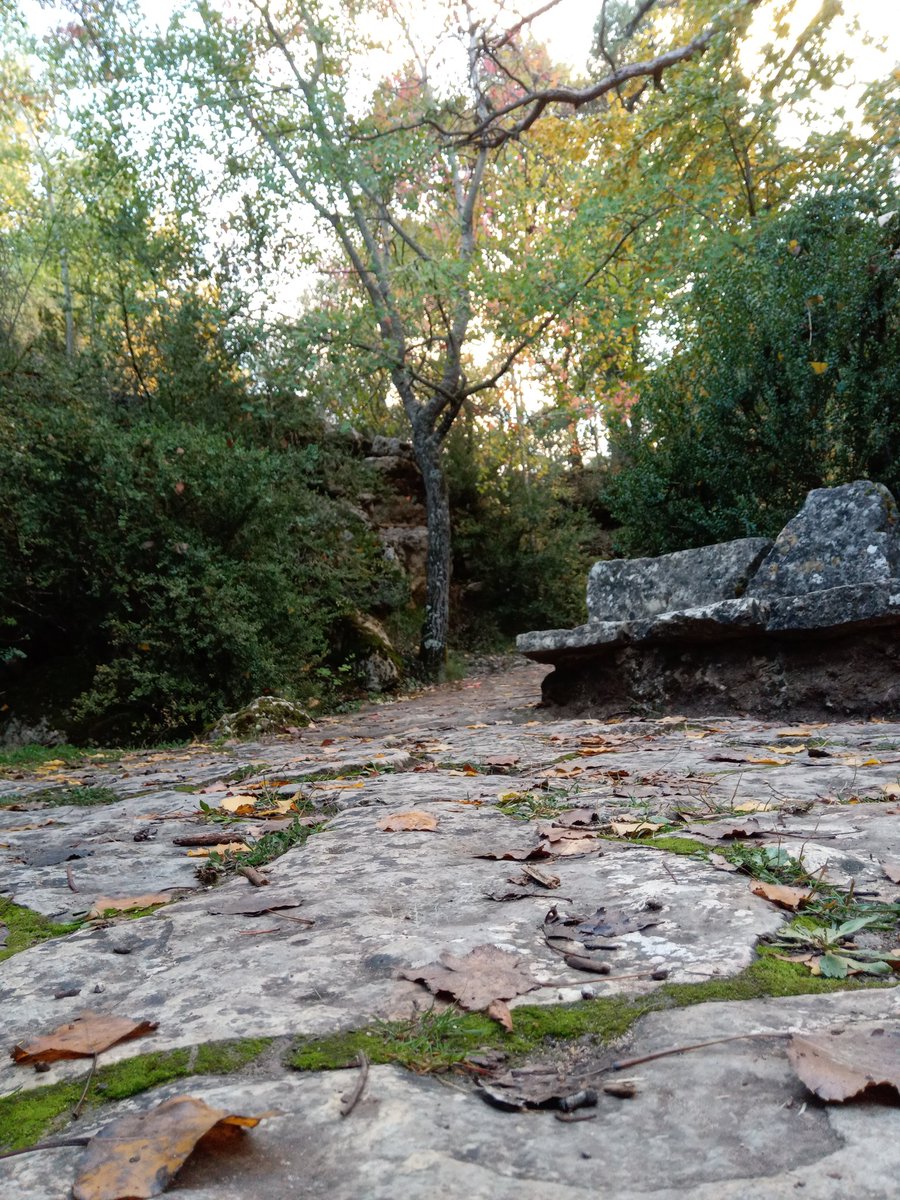 alfonsomascob's tweet photo. #otoño en #Cuenca https://t.co/XX2YwXlorS