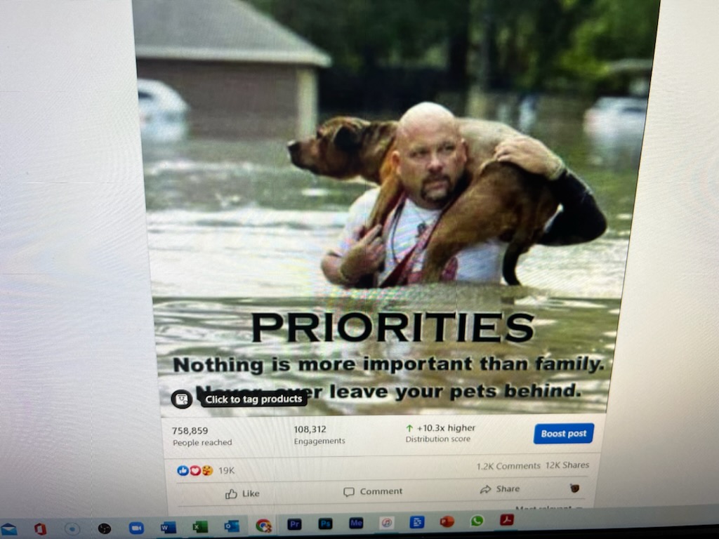 Pingster: Photo-sharing - GPS Discount Coupons tweet media