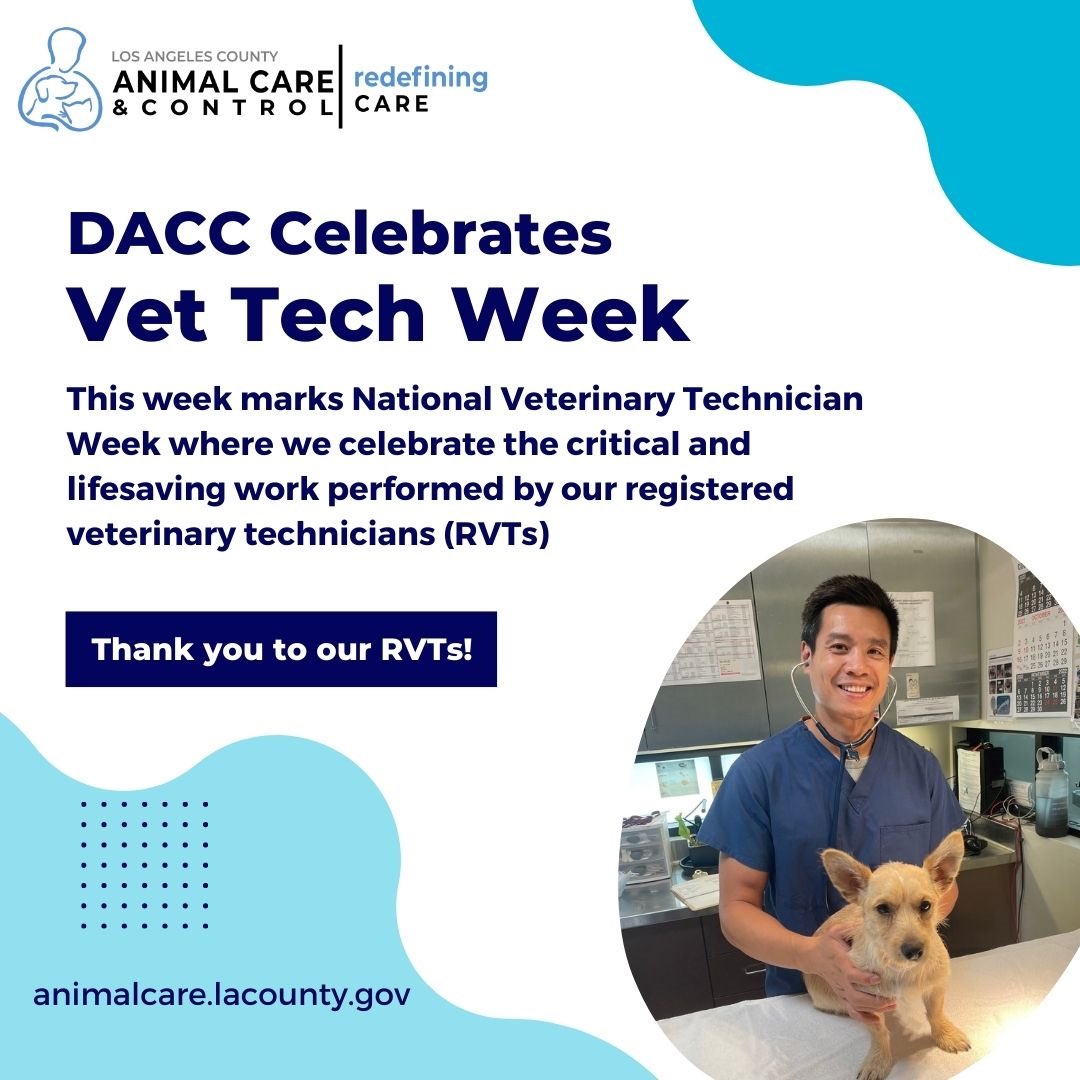LACoAnimalCare's tweet photo. Happy #VeterinaryTechnicianWeek to our amazing team of lifesaving technicians. Thank you for all you do for the animals in our care and our pet owning communities. #VetTech #VetTechWeek #DACCares https://t.co/J8gOy9j88P