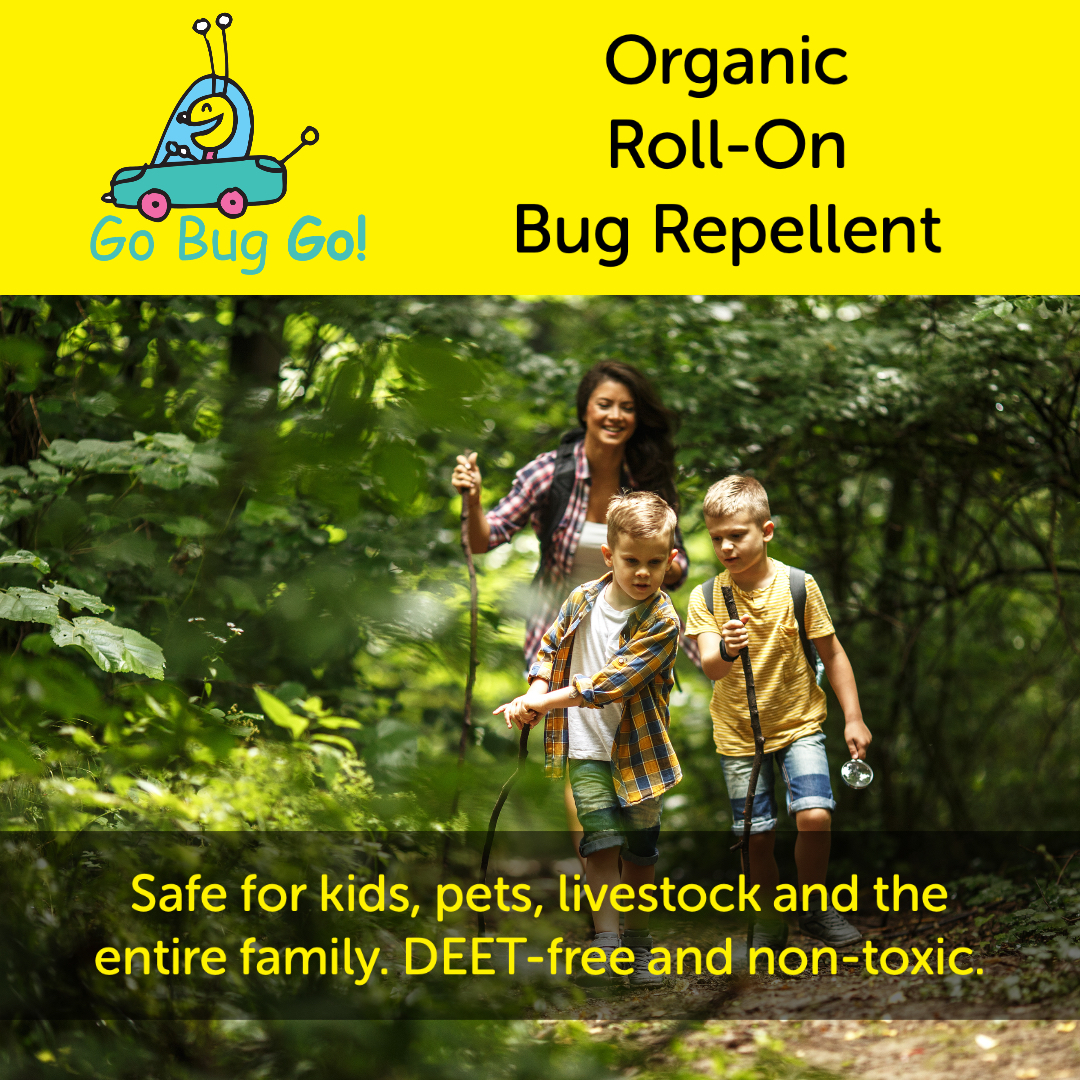 GoBugGo1 tweet picture