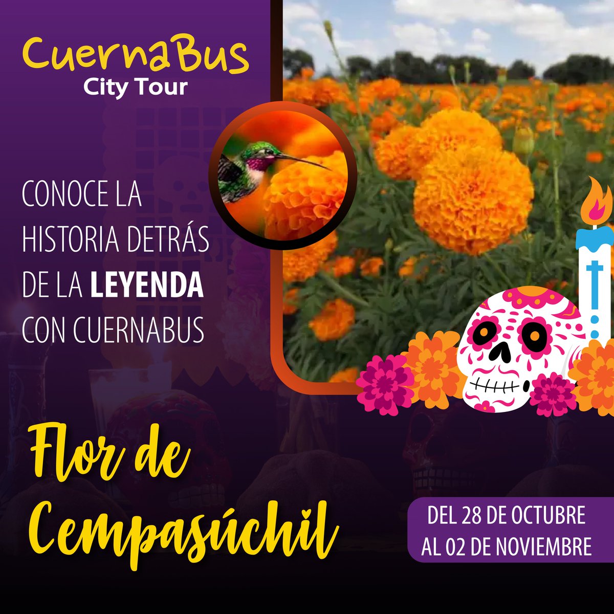 PullmanDeMorOf's tweet photo. ¡Ven a conocer la historia detrás de la leyenda de 👫 #FLordeCempasuchil!
Del 28 de Octubre al 02 de Noviembre, una experiencia aterradora que te brinda #Cuernabus https://t.co/zT2aldQHpz