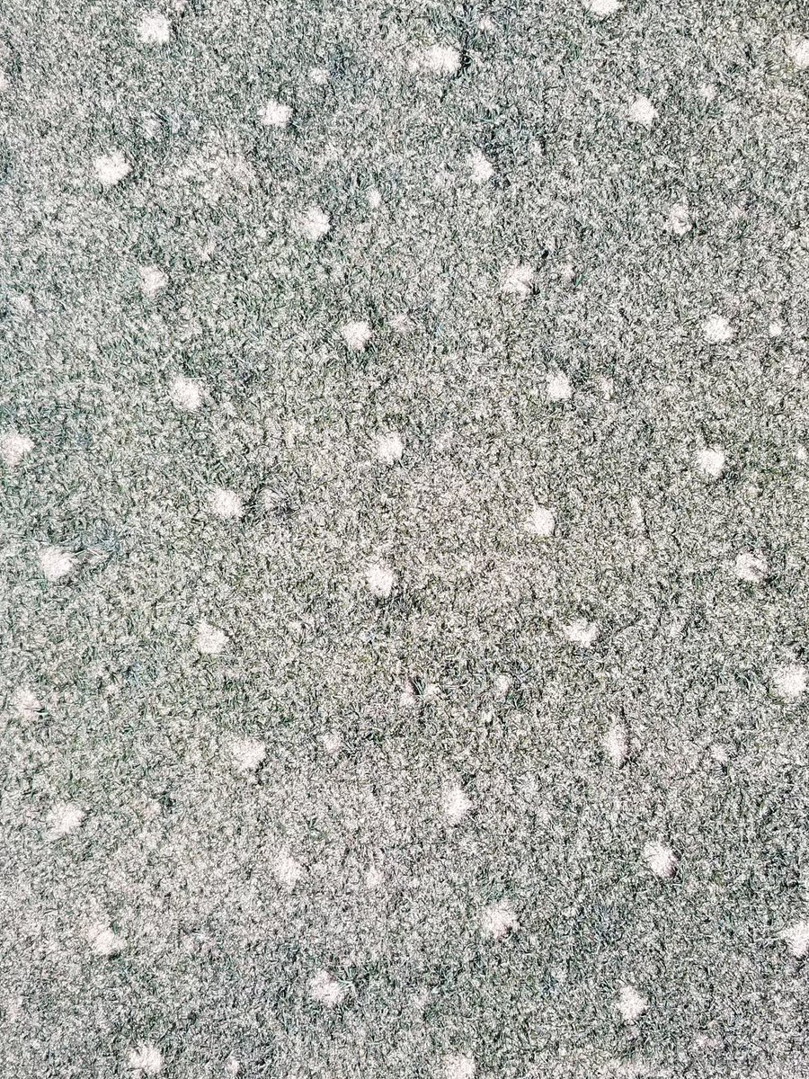 SuperTimG132's tweet photo. Otherwise people might not believe it actually happened!!! Thanks @AlexOlsenTurf each time we can go a little deeper....the root system keeps getting better which allows the playing surface to follow suite!!! #bettereveryday #2023prep #holesonholes https://t.co/6ETPL0yheR
