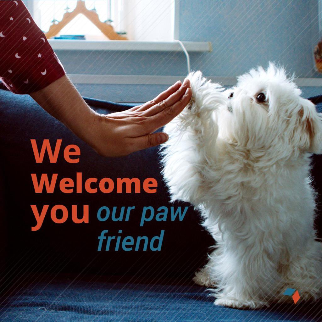 “My dog has been promoted to assistant branch manager."
#hexacoworking #coworkingspaces #texas #dallastexas #dogfriendly #dogsatwork