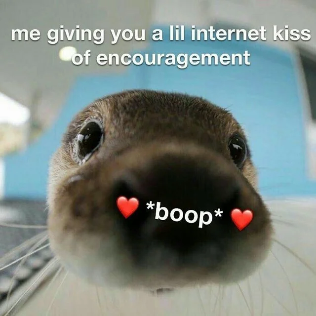 WholesomeMeme's tweet photo. https://t.co/zMAdNGHaKE