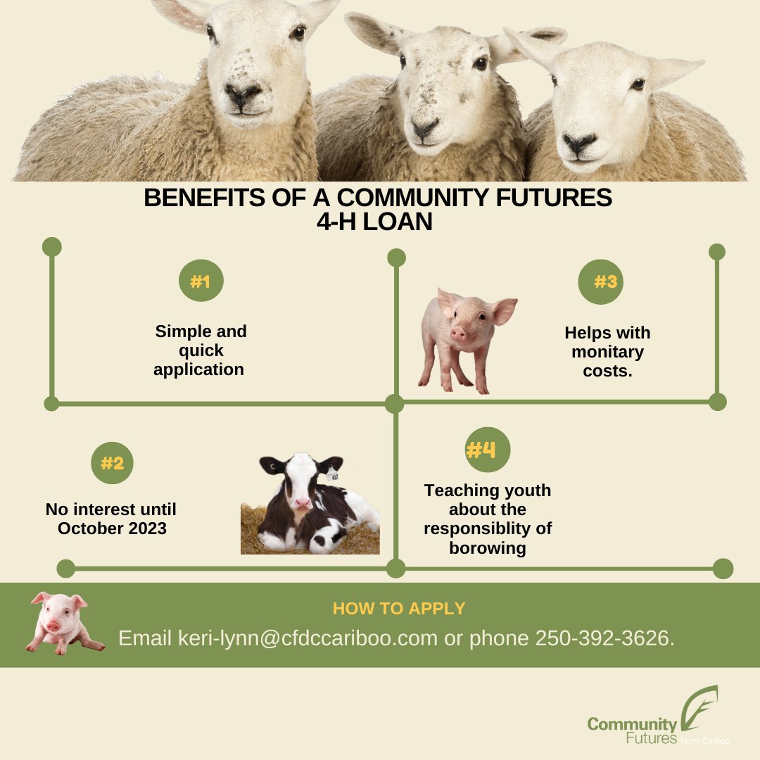 Do your kids/youth belong to a 4H Club in and around the Cariboo? Did you know Community Futures will lend your child a Interest Free Loan to help them with their 4H Project?  
Contact Community Futures to apply.  250-392-3626
#communityfuturescariboochilcotin #teachthemfarming