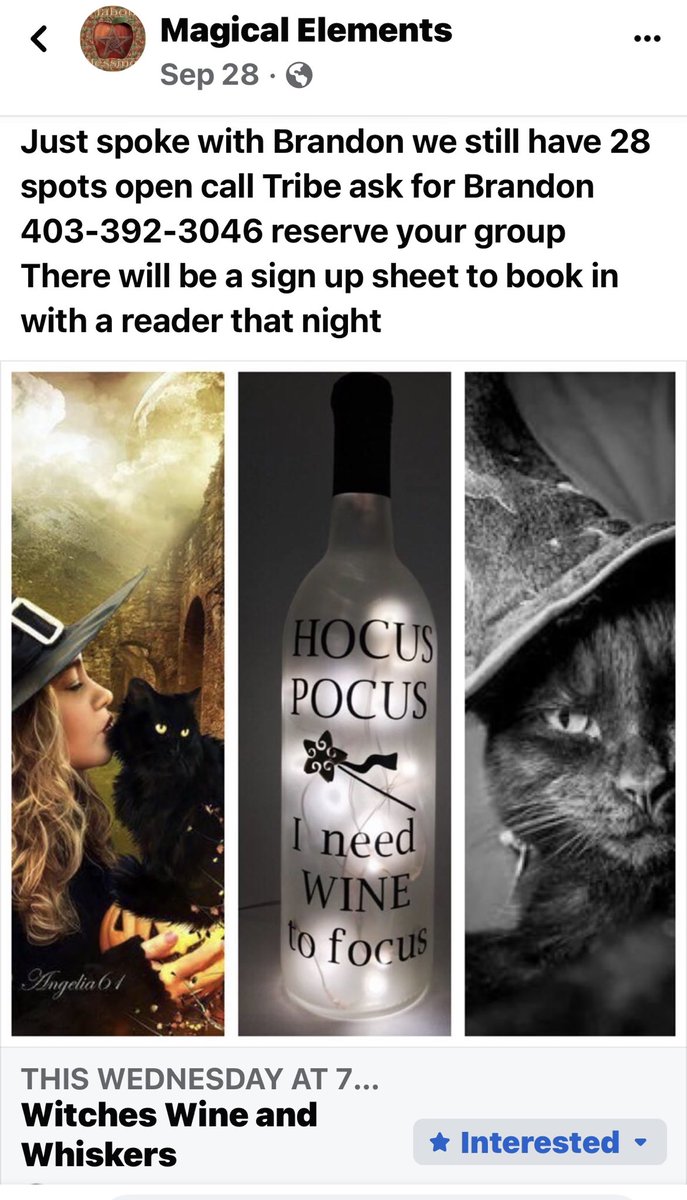 WhiskerRescueAB's tweet image. Witches, Wine &amp;amp; Whiskers!Have you reserved your spot for THIS Wednesday? Bring your friends, share some wine and get a Tarot card reading all to raise funds for our cats and kittens! 💕❤️ #magicalelements #halloweenfundraiser