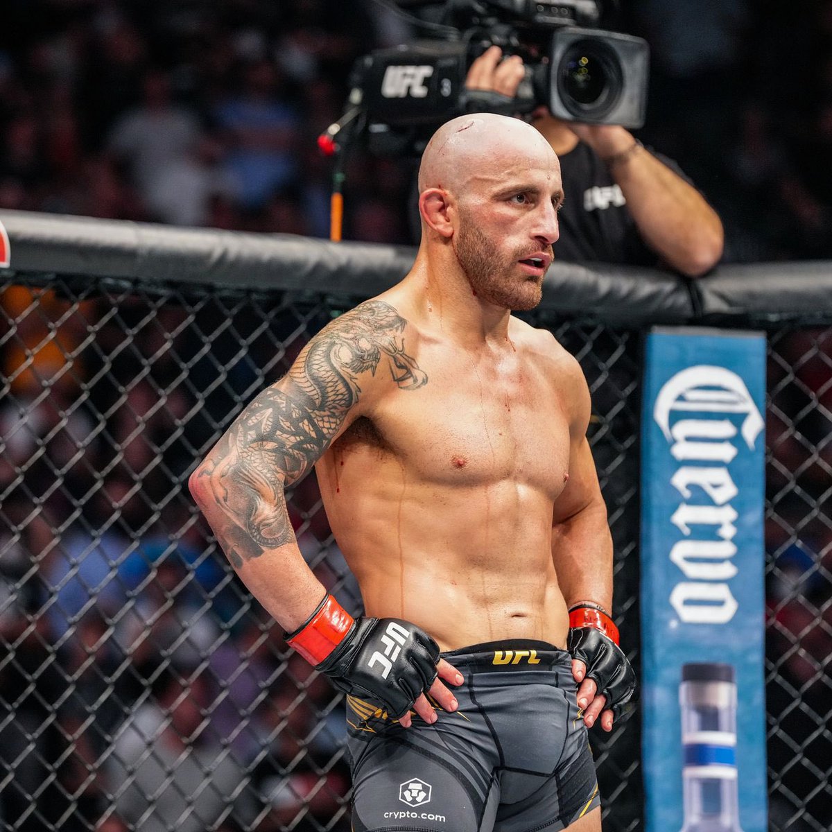 mma_orbit's tweet photo. 🚨| Dana White has confirmed to @RobbieBarstool that Alex Volkanovski will receive the next lightweight title shot against the winner of Oliviera vs. Makhachev.
#UFC280 #UFC284 #UFC #MMA https://t.co/hchy7jgzvx