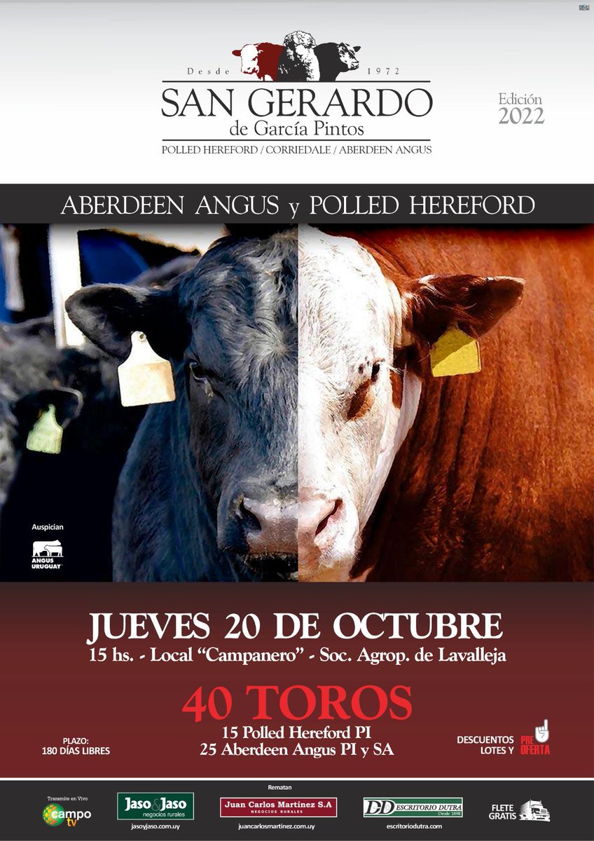 Angus Uruguay tweet media