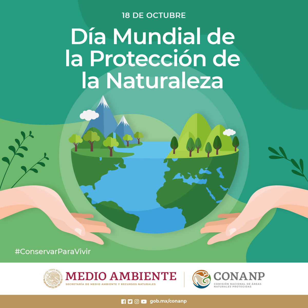 CONANP_mx's tweet photo. Hoy celebramos el Día Mundial de la Protección de la Naturaleza, para recordar la importancia de conservar nuestra riqueza natural, fuente de servicios ambientales como alimentos, aire puro, materias primas, protección de fenómenos naturales, entre otros. 🌿🌊🌳🍅🍯🥬🍓🌽 https://t.co/uxDDjIlrM9