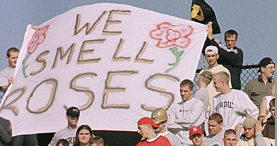 GoldandBlack.com tweet media