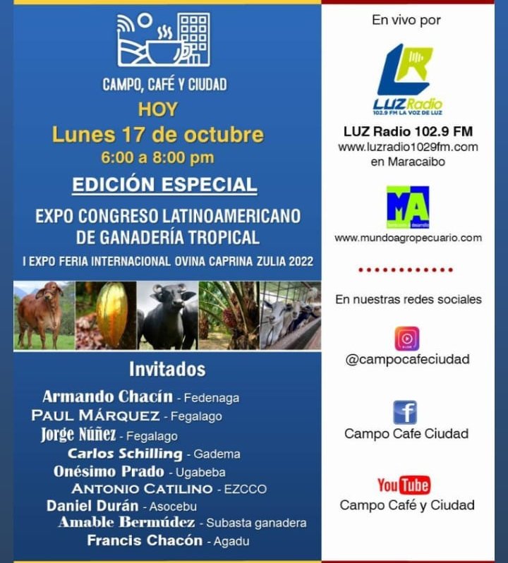 #hoy de 6 a 8 p.m. programa especial de <a href="/campocafeciudad/">campocafeciudad</a> a propósito del Expo Congreso Latinoamericano de ganadería tropical a realizarse del 2 al 6 de noviembre en #Maracaibo