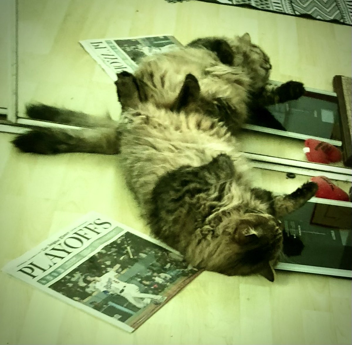 cmroth's tweet image. Jonesy will see you all at Spring  Training.