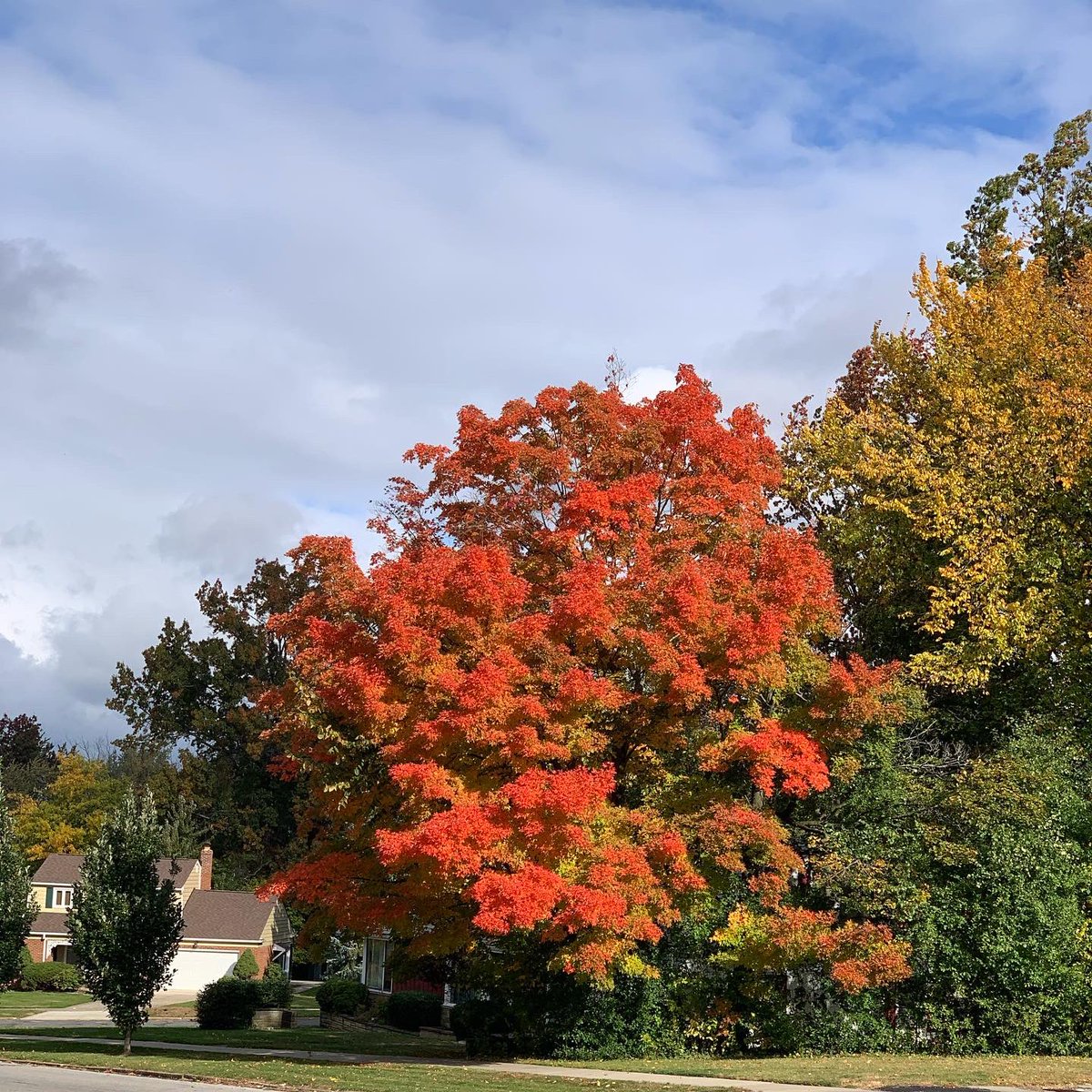 SandyPeeps's tweet photo. Love our neighborhood in @CLEHeights 🍁 so much! https://t.co/JoPvHxTcQa