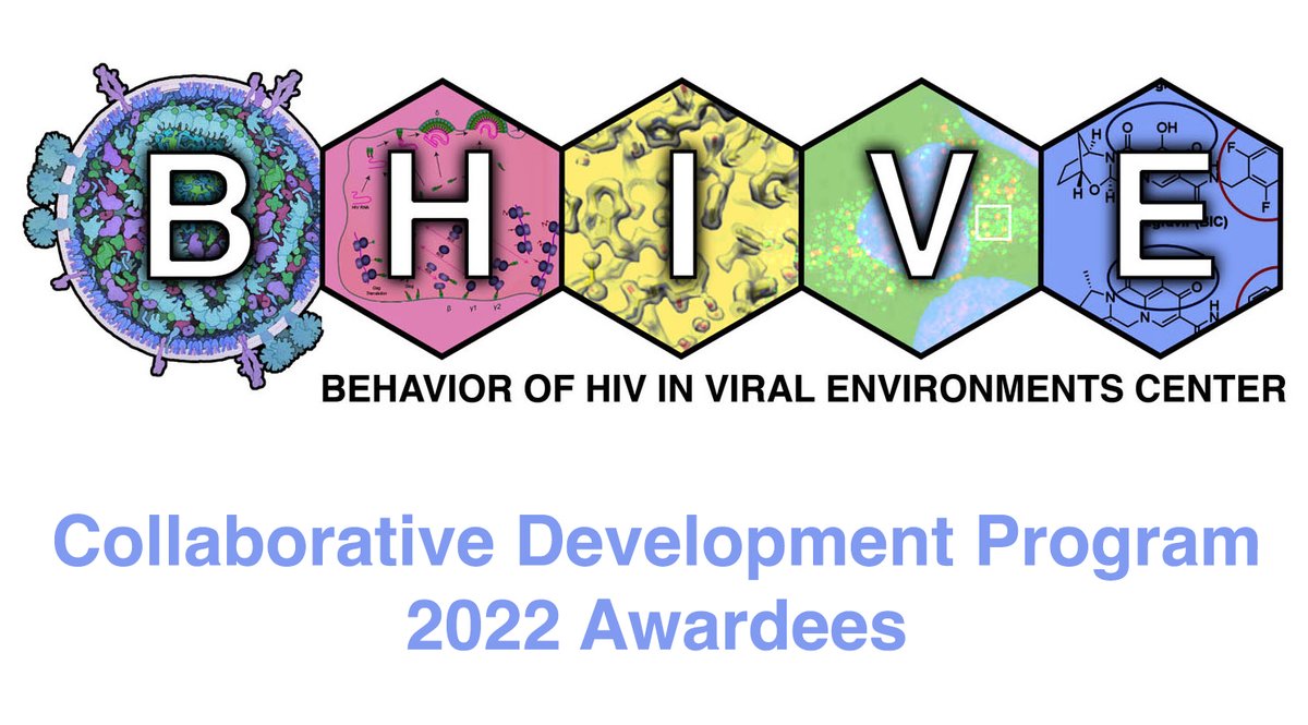 The B-HIVE Center tweet media
