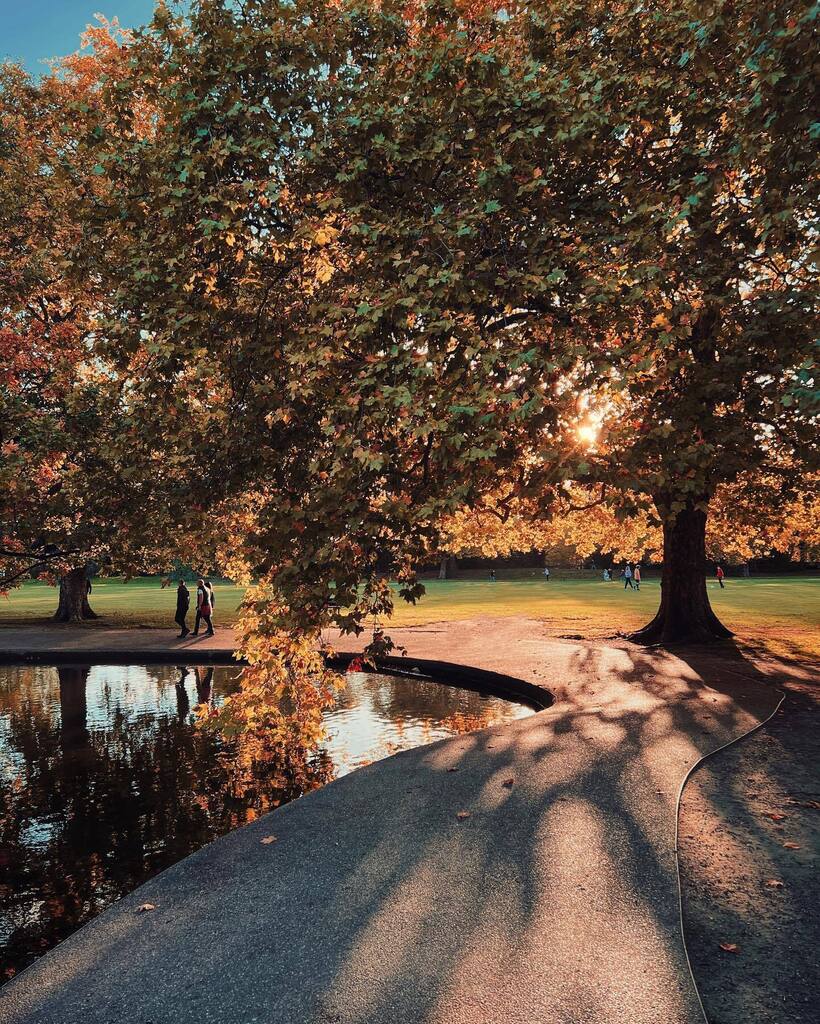 AdamSheath's tweet photo. Autumn light✨ #wandsworthcommon #parklife #longshadows #londonparks #autumncollection #londonbylondoners #naturesbest https://t.co/vZtqdJyF4a https://t.co/ndg0wbDDFp