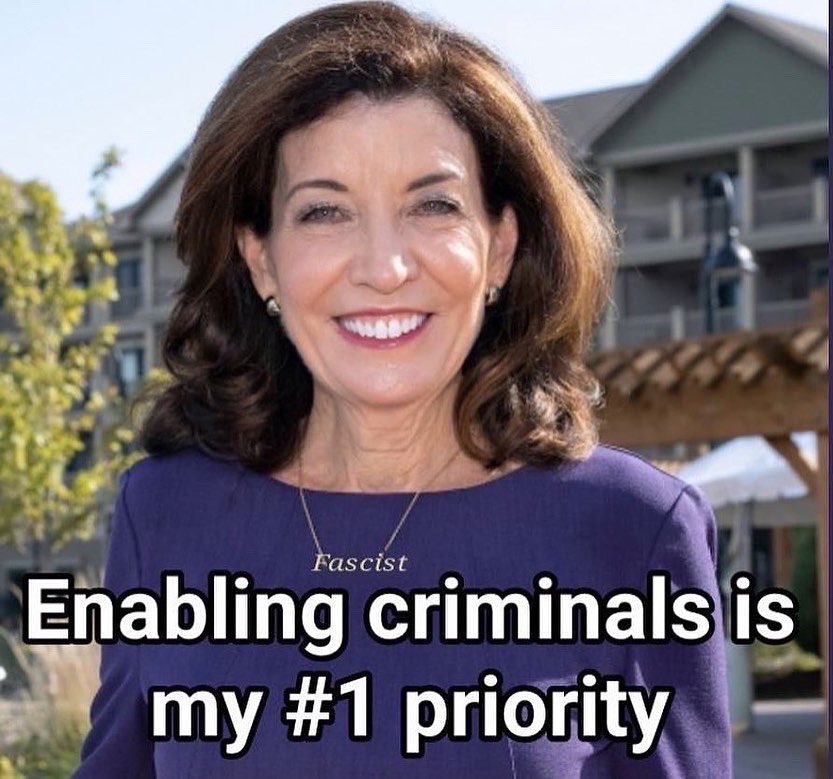 3_hedy's tweet photo. @KathyHochul And you’re  the candidate who gives free get out of jail cards to violent repeat criminals who prey upon the vulnerable knowing there wont be any consequences to pay. Vote for Lee Zeldin for NY Governor. Your life &amp; the lives of your loved ones depend on it https://t.co/LbCHiVK0lN