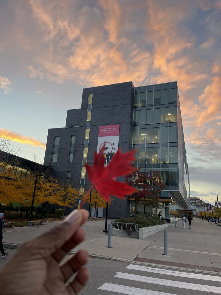 koncussion_'s tweet photo. Fall is hands down my favourite season 🍁 #Humberto https://t.co/S9cYXsIVaz