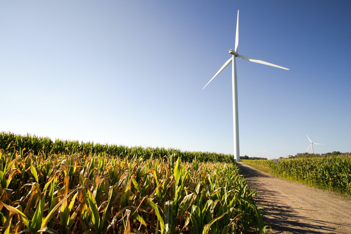 Land owners and farmers in #rural communities across #Texas are reaping the economic benefits of leasing their land for the development of #CleanEnergy projects, receiving hundreds of thousands of dollars in land-lease payments each year, reports <a href="/CNN/">CNN</a>

usenergyupdate.com/rural-communit…