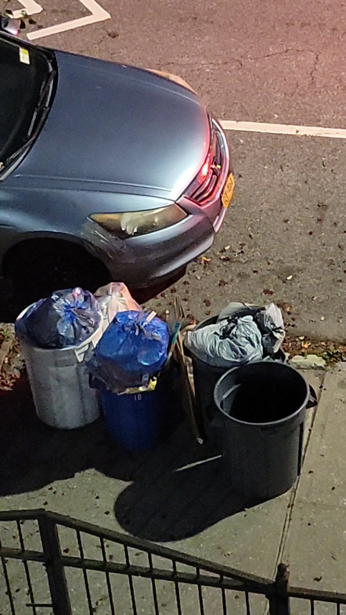 LovesMAC's tweet photo. @nyc311 @NYCSanitation @NYCMayor @NYCMayorsOffice @InnaVernikov See the trash is still there! https://t.co/V299DfVxOt