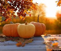 I love Fall in Texas. Some of our favorite fall activities are pumpkin patches, festivals, pumpkin carving, tunk or treats. What are your favorite fall activities around Houston/Dallas/Austin/San Antonio? 🍂