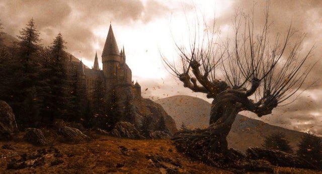HPotterUniverse's tweet photo. 🎃🍁🍂 https://t.co/DV3nhP5212