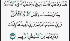 2bpy1's tweet photo. @allulu29 اتوقع بذي الآية ما في فرق بين الرجل او الذكر 🦦 https://t.co/uZK0H3rHaG