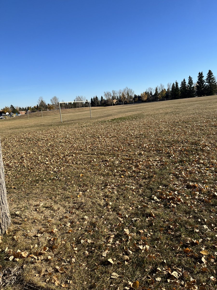 stan_mccutcheon's tweet photo. Nothing beats fall weather #YYC #Fall2022 #extendedsummer https://t.co/jCi87jXPx9